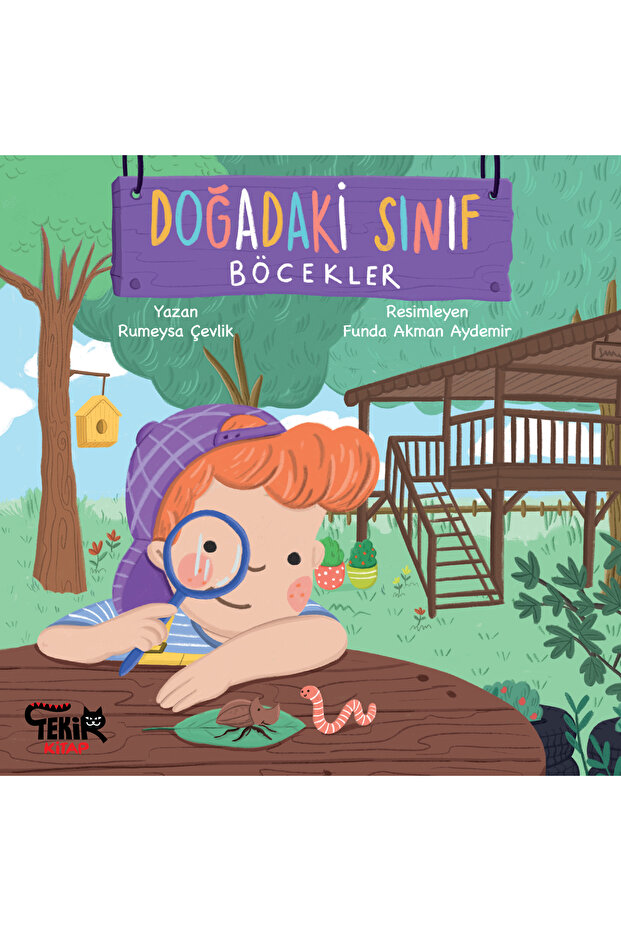 Doğadaki Sınıf - Böcekler