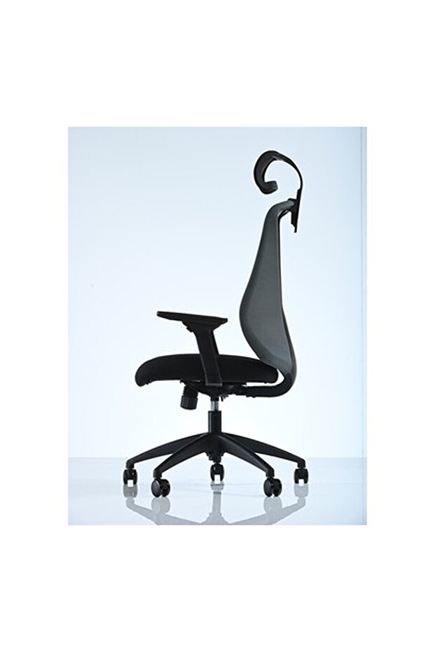 Goldsit Orfe 000PA - 4