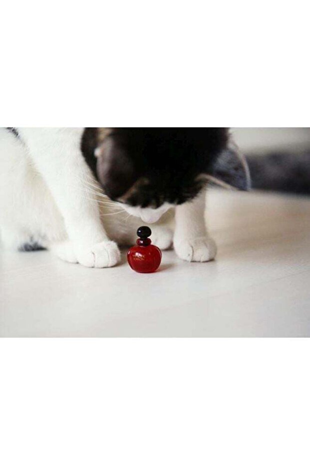 هيبنوتيك بويزن أو دو تواليت 50 مل - 6