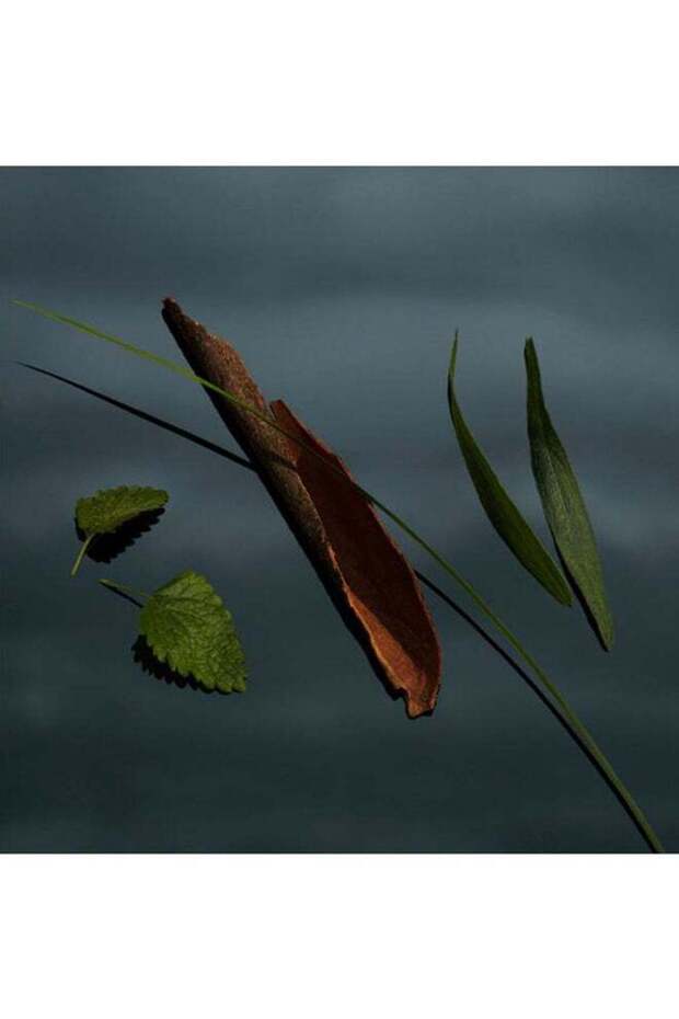 السيد أو دو بارفان 150 مل - 5