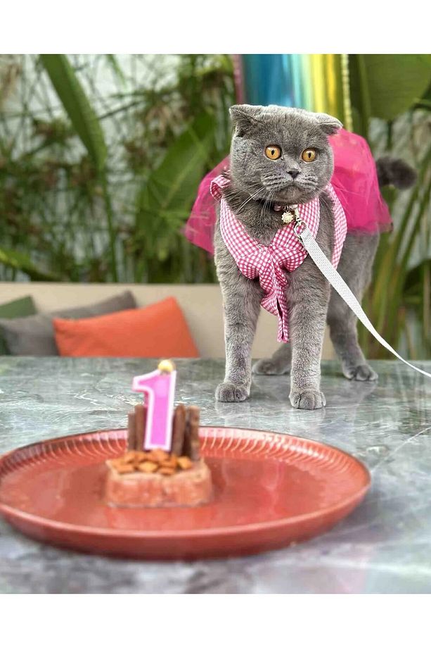 Pembe Kareli Yıldızlı Tüllü Kedi Köpek Kıyafeti Elbisesi XS/XSMALL/Beden 0 - 2