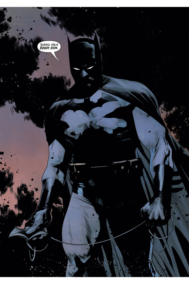 Batman Vs. Robin - 5