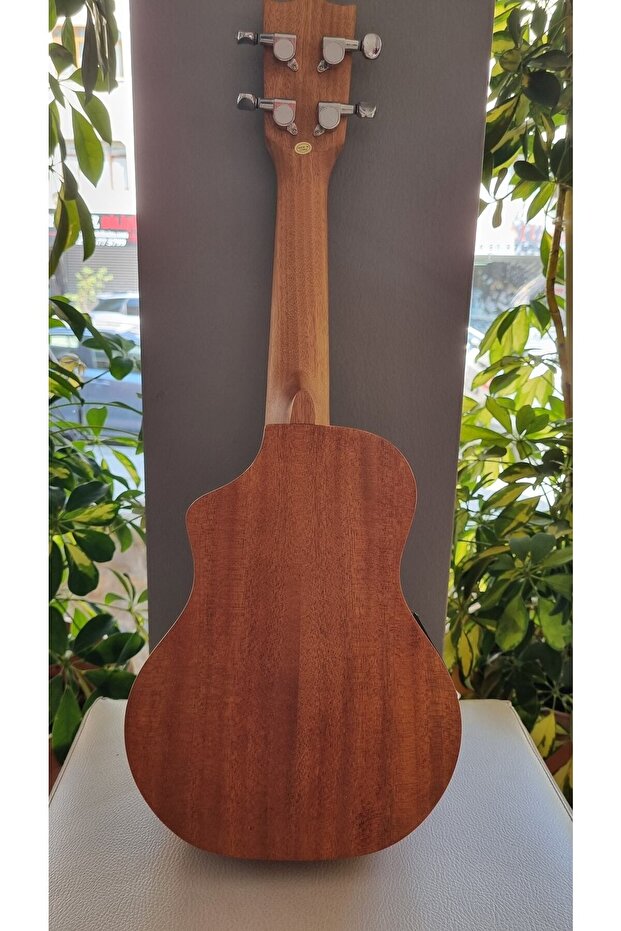 Elektro Ukulele - 4
