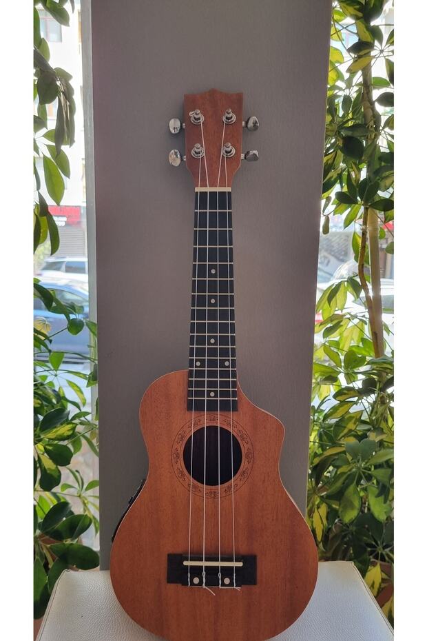 Elektro Ukulele - 1