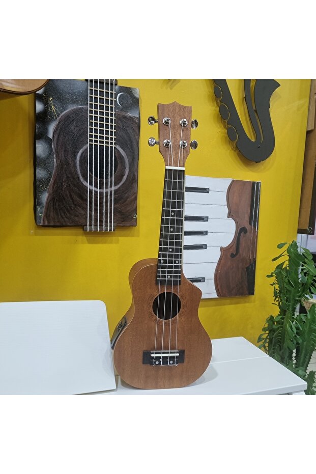 Elektro Ukulele - 3