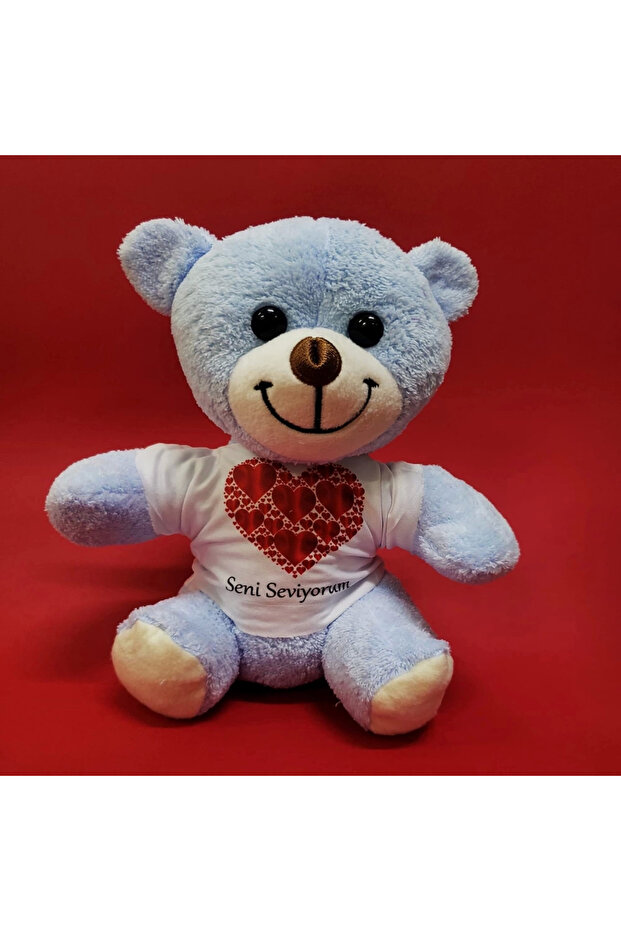 I Love You T-Shirt Teddy Bear