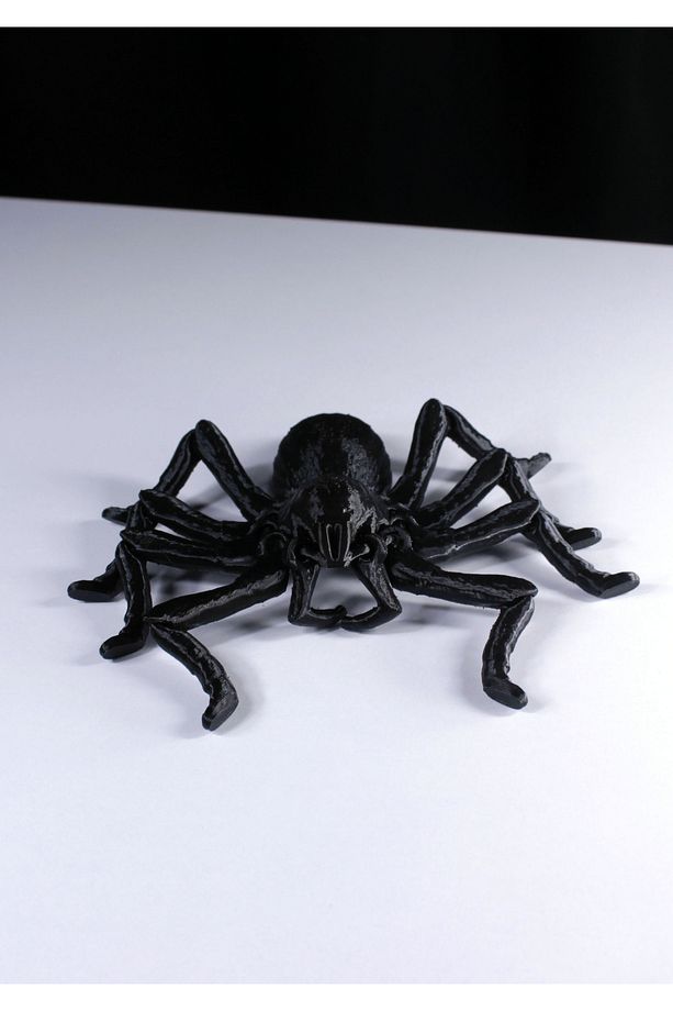 Tarantula Örümcek Figür Oyuncak (SİYAH) - 7
