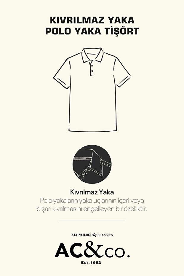 Erkek Antrasit %100 Pamuk Kıvrılmaz Pike Polo Yaka Slim Fit Dar Kesim Tişört - 3