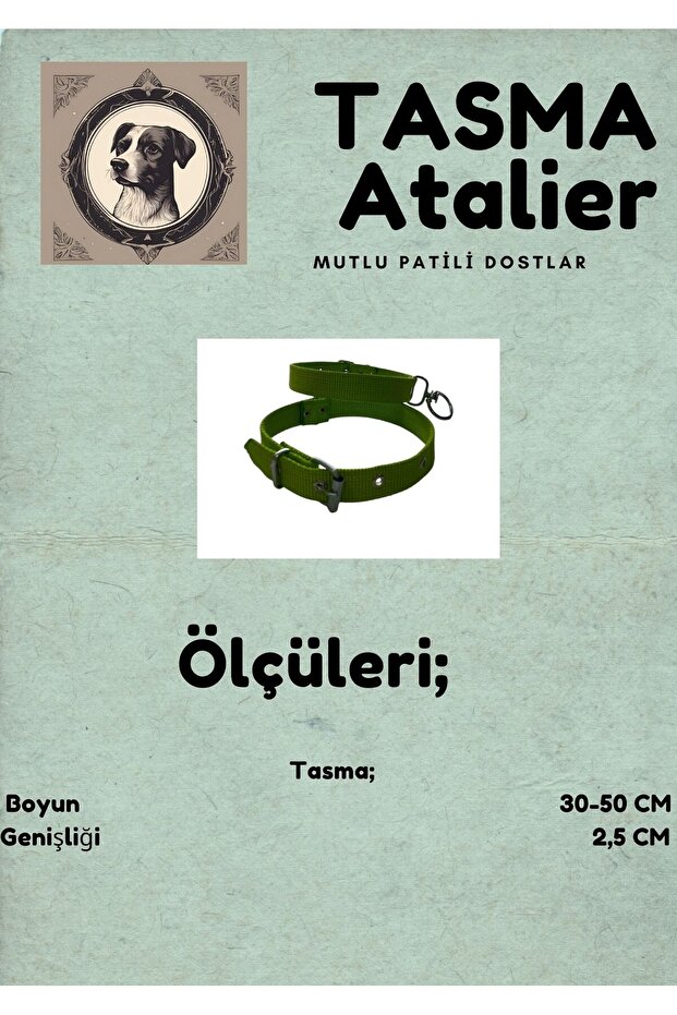 Medium Dog Collar - 3