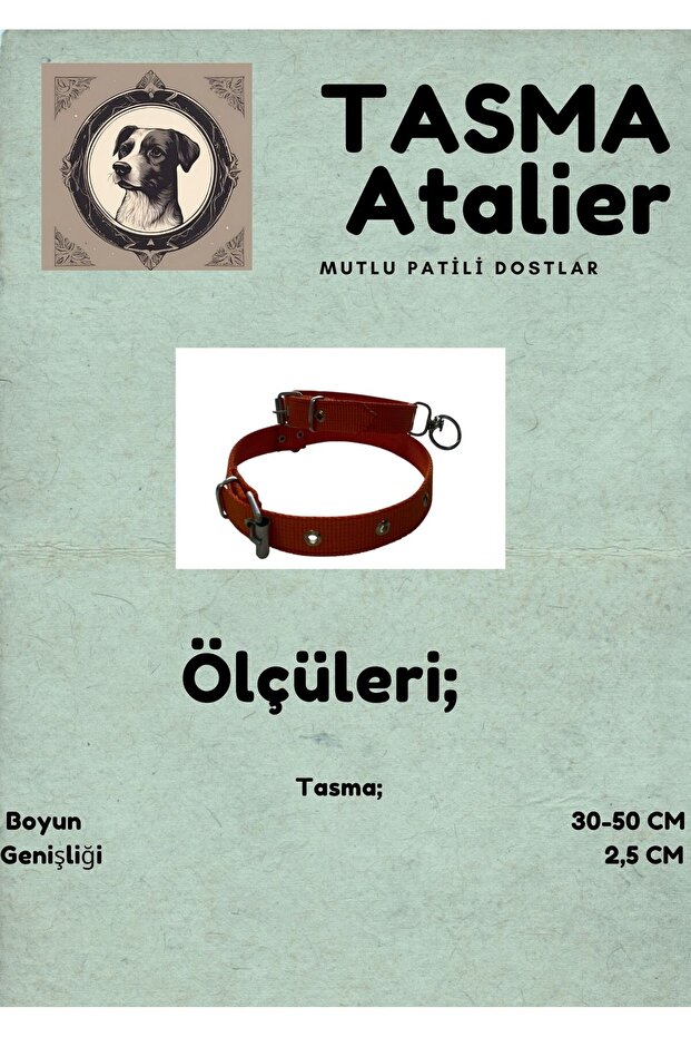 Medium Dog Collar - 3