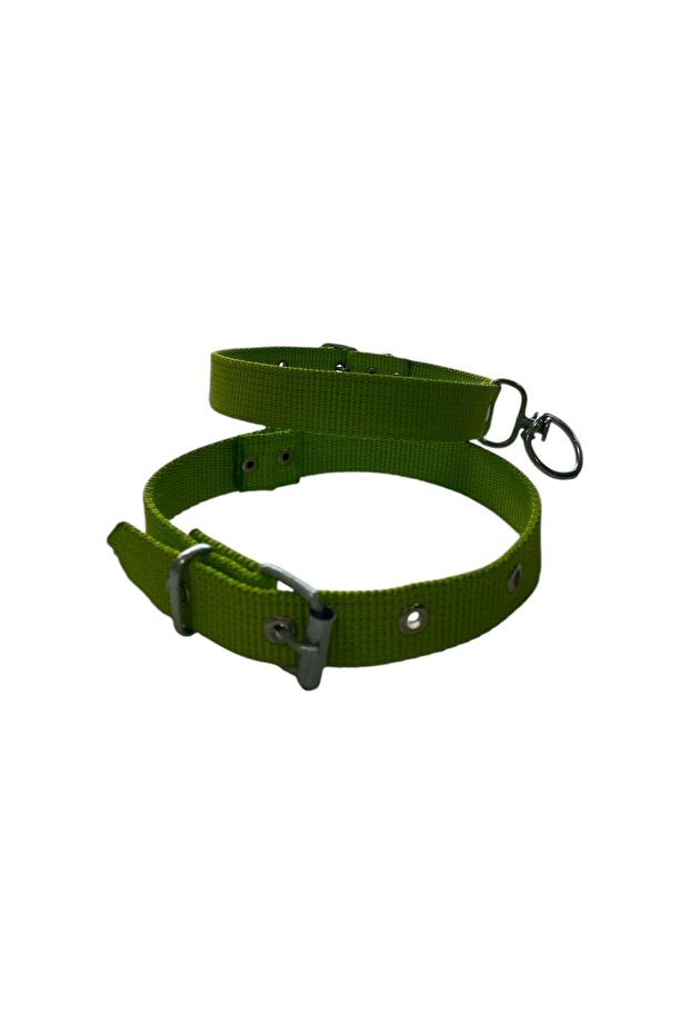 Medium Dog Collar - 1