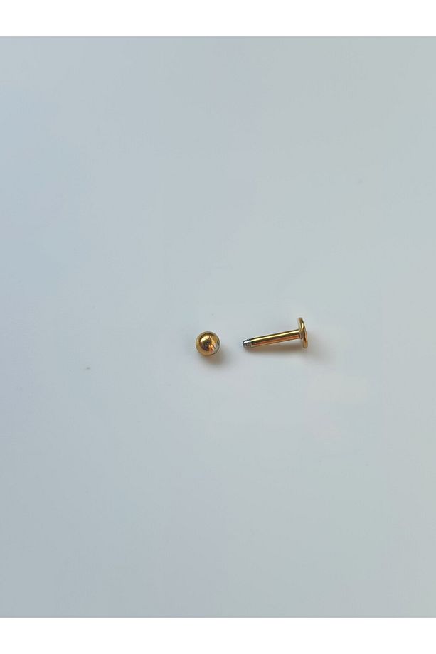 Top Çubuk Çelik Piercing Helix Lobe Tragus Rook Kıkırdak - 8