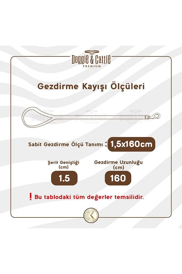 Konfor Dokuma Gezdirme Kayışı Siyah 1.5*160 Cm (DGZT-15) - 4