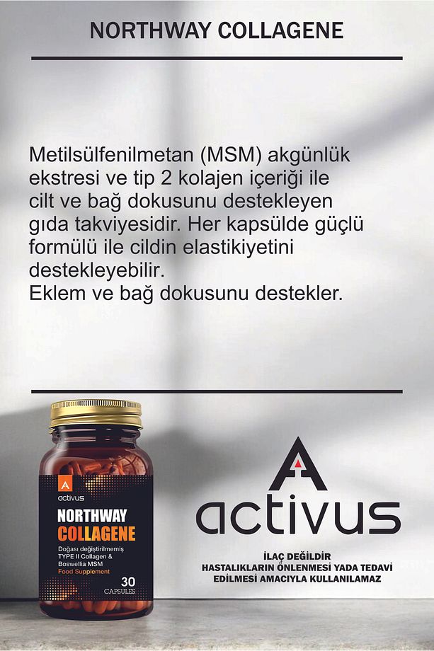 Northway Kolajen tip 2 Eklem desteği Tam Destek Metilsülfonilmetan MSM Type II diz dirsek bilek - 6