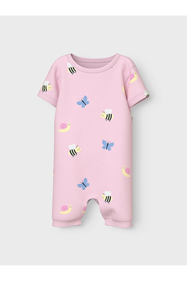 صندوق ملابس شمسية NBFVANDORA - 1