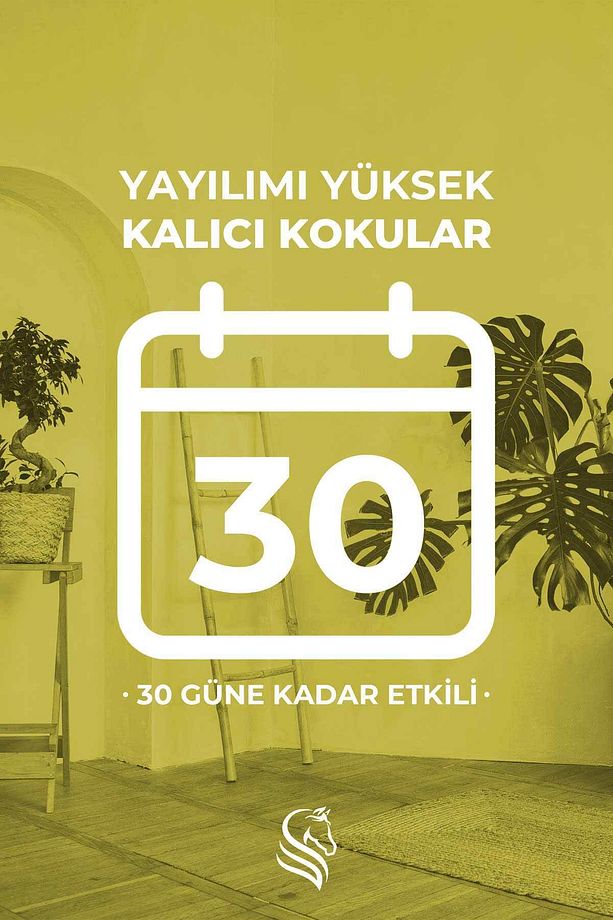 Hanımeli Çubuklu Oda Kokusu Honeysuckle Reed Diffuser 100ml - 5
