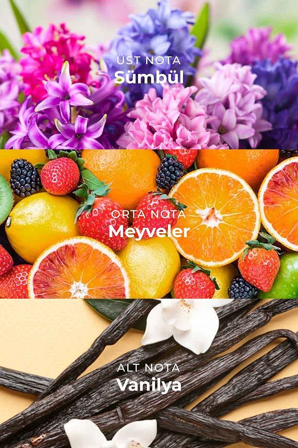 Sümbül Çubuklu Oda Kokusu Hyacinth Reed Diffuser 100ml - 3