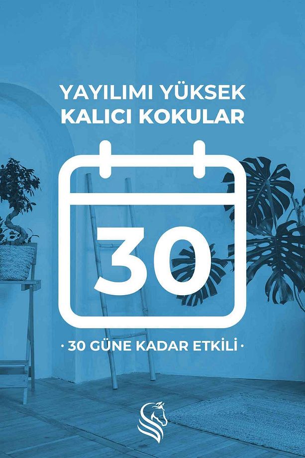 Çiçeksi Temizlik Hissi Çubuklu Oda Kokusu Clean Breeze Reed Diffuser 100ml - 5