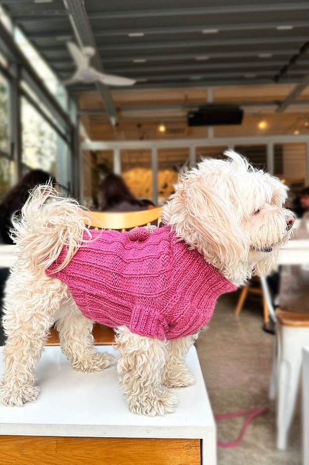 Kalpli El Örgüsü Köpek Kazak - Pembe - 2