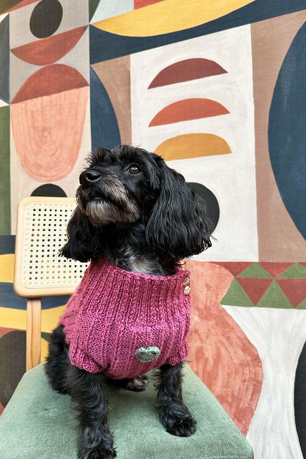 Kalpli El Örgüsü Köpek Kazak - Pembe - 7