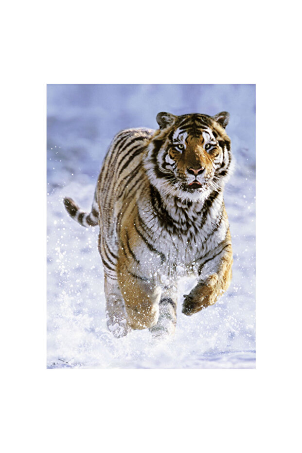 500 Parça Puzzle Kaplan ve Kar RPO144754 - 2