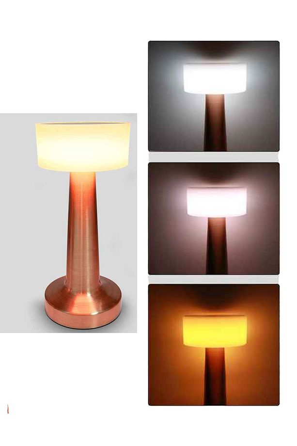 Dimmerli Rosegold Dekoratif Şarjlı Dokunmatik Led Masa Lambası Usb Kablolu Gece Lambası Nv0056r - 9