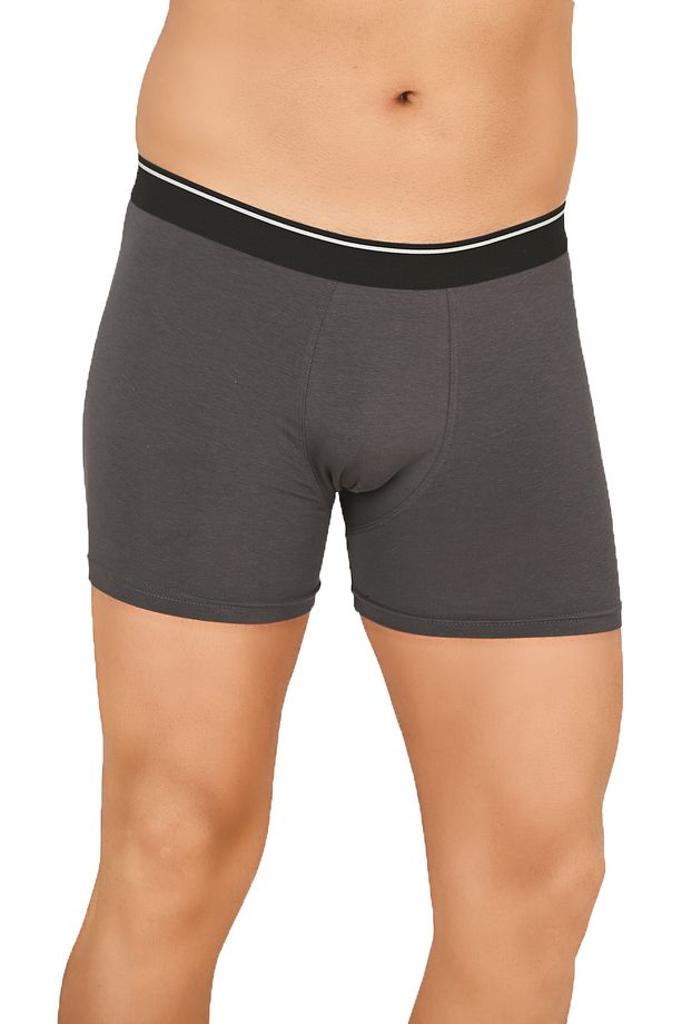 Özkan 11256 Erkek Premium Kumaş Modal Pamuklu Esnek Yumuşak Boxer Şort - 4