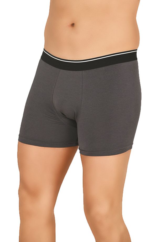 Özkan 11256 Erkek Premium Kumaş Modal Pamuklu Esnek Yumuşak Boxer Şort - 5