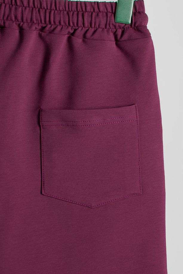 Erkek Mürdüm Basic Regular Fit Şort & Bermuda - 4