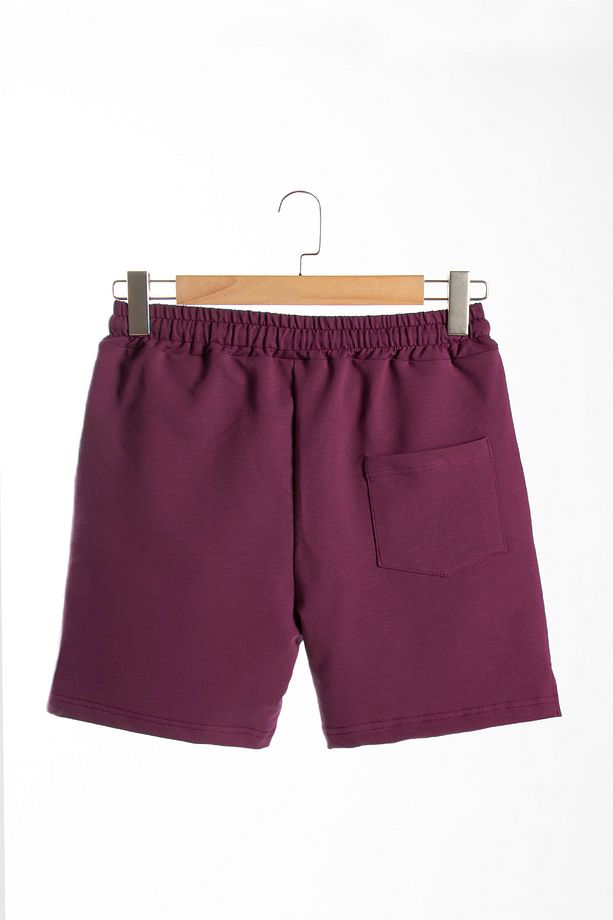 Erkek Mürdüm Basic Regular Fit Şort & Bermuda - 5