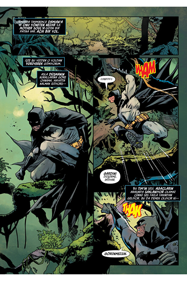 Batman Vs. Robin - 6