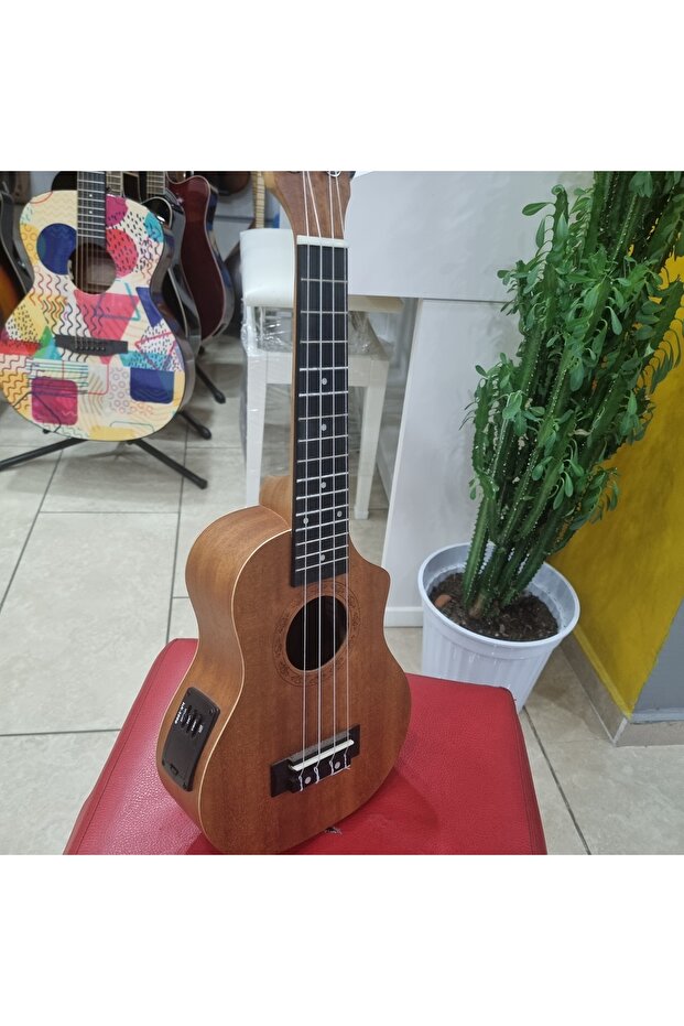 Elektro Ukulele - 1