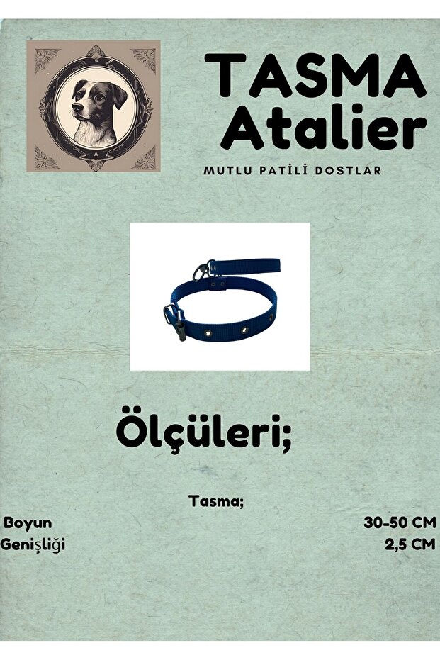 طوق الكلب المتوسط - 3