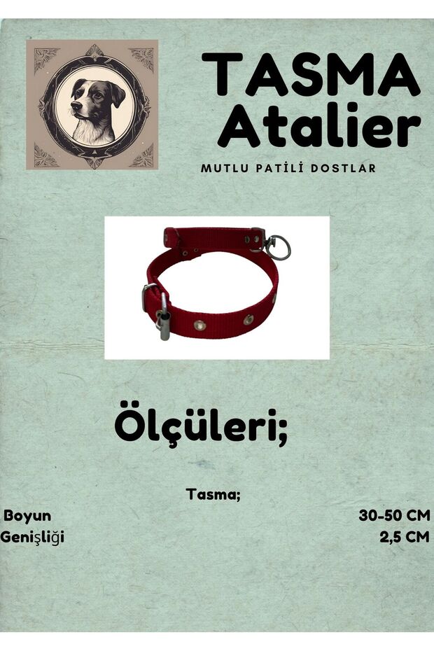 Medium Dog Collar - 3