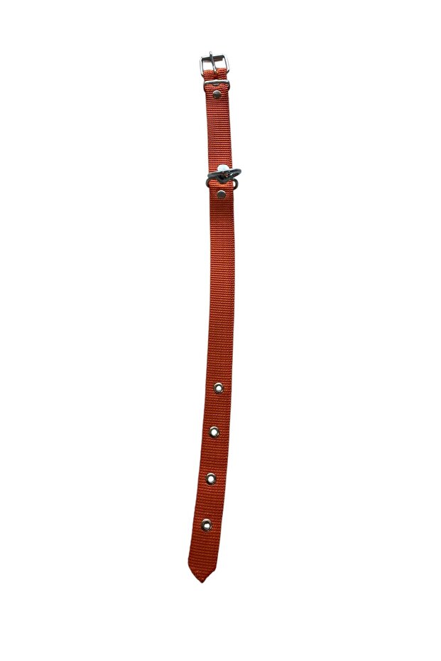 Medium Dog Collar - 2