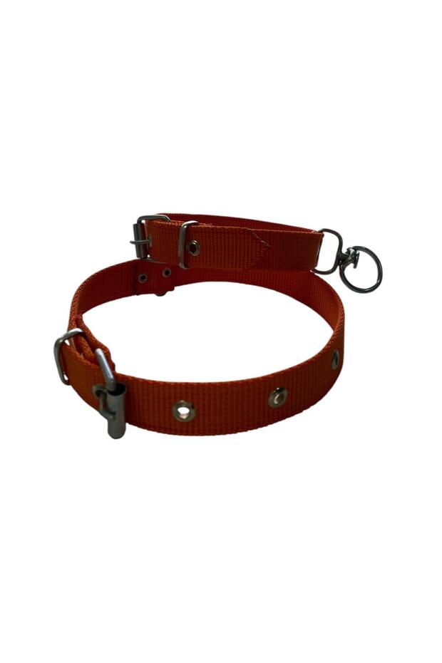 Medium Dog Collar - 1