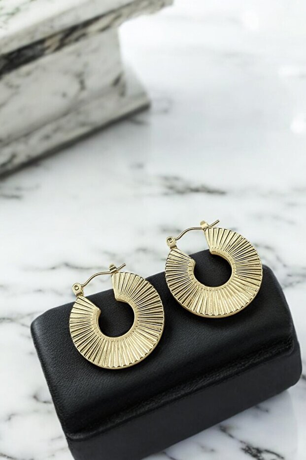 Oval Striped Plate Earrings - Hoop Model Women's Earrings