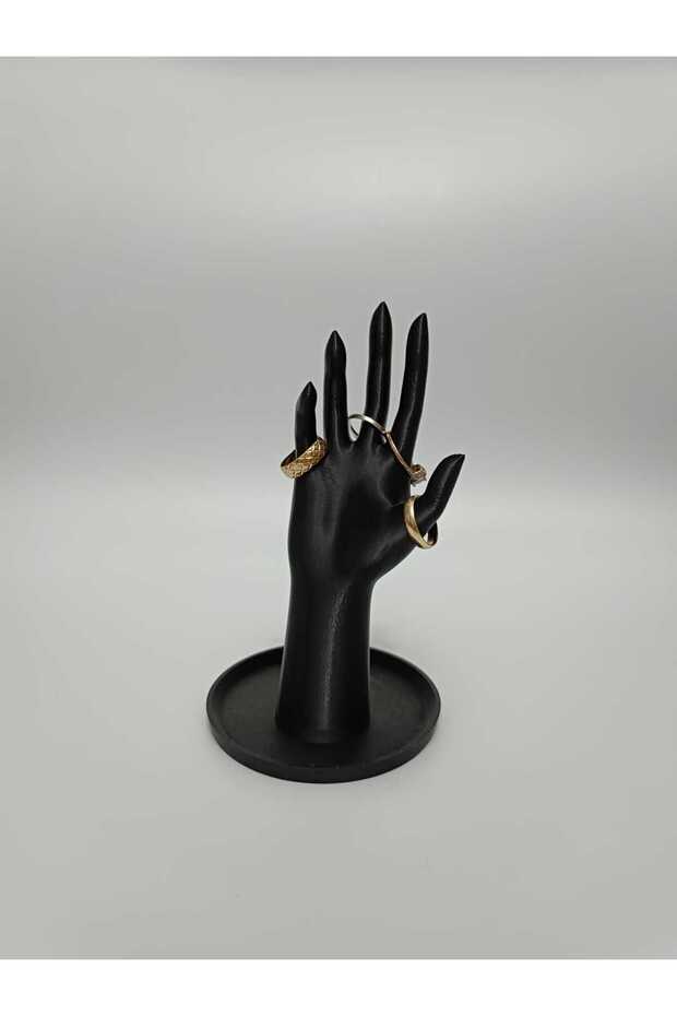 منظم الخاتم الأسود - 4