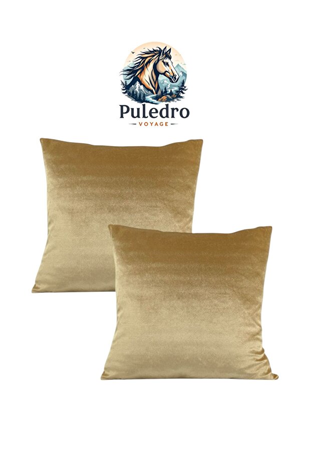 Set of 2 Soft Velvet Decorative Square Throw Pillow Case Pillowcases 45X45 cm