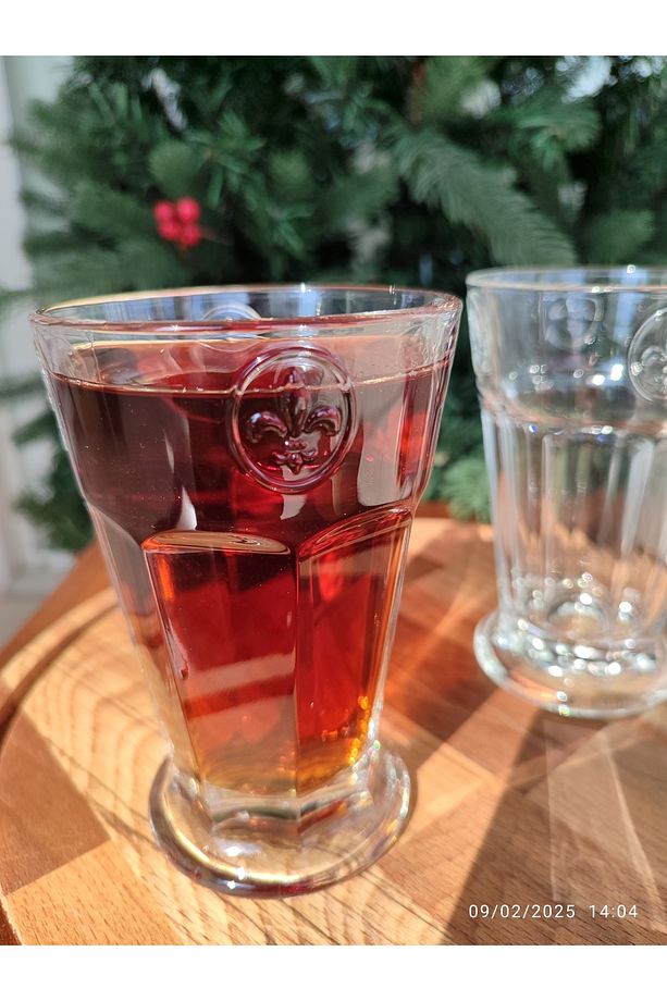 Florentine 4’lü Meşrubat Bardağı - 3
