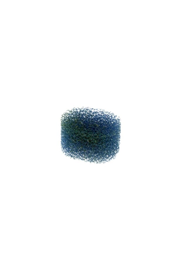 Oval Sponge Filter - 2