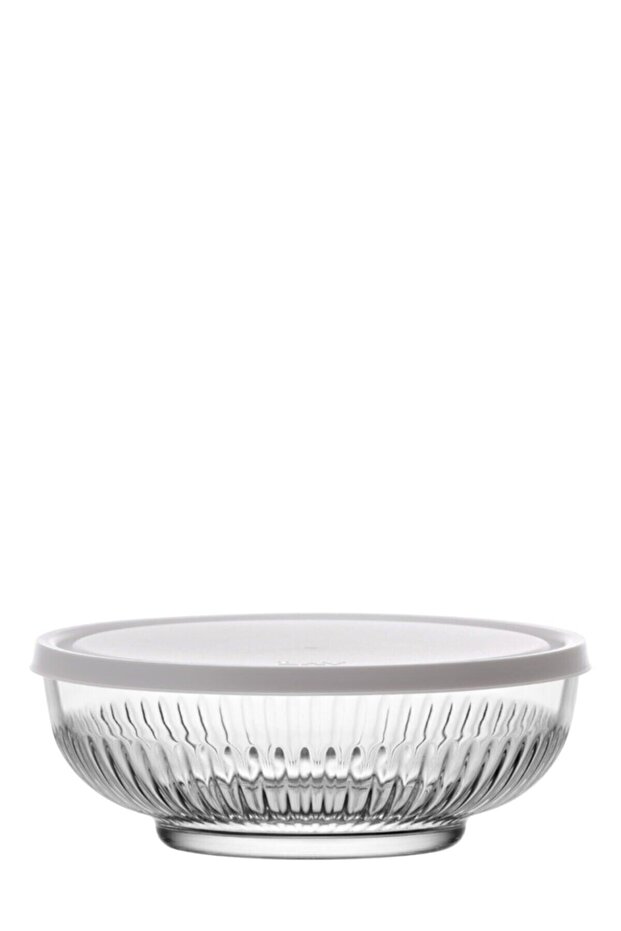 Feyzade Tokyo Single Medium Size Bowl 1500Cc (Grey Cover)