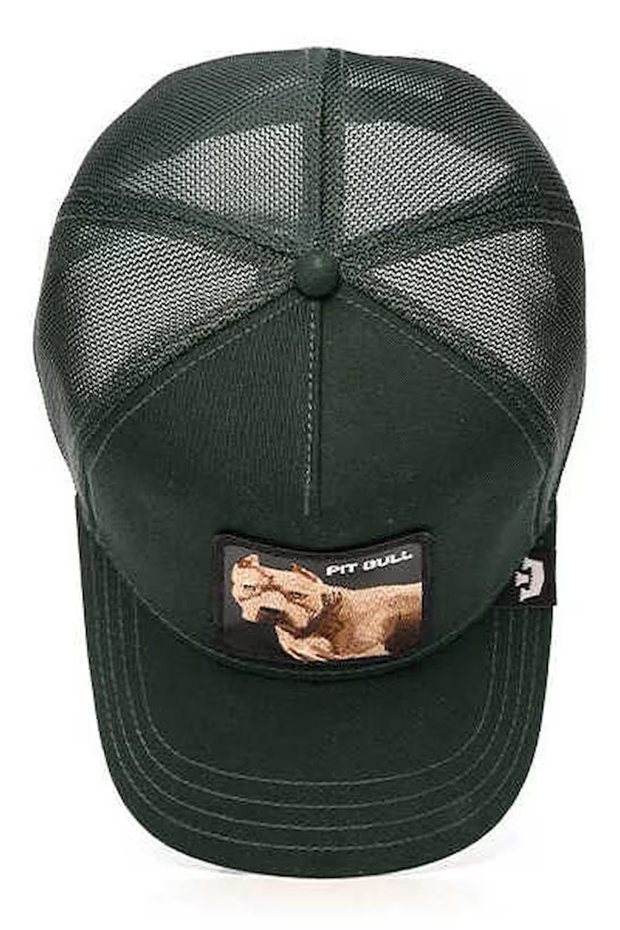The Dog Pitbull Unisex Şapka 101-1676 - 3