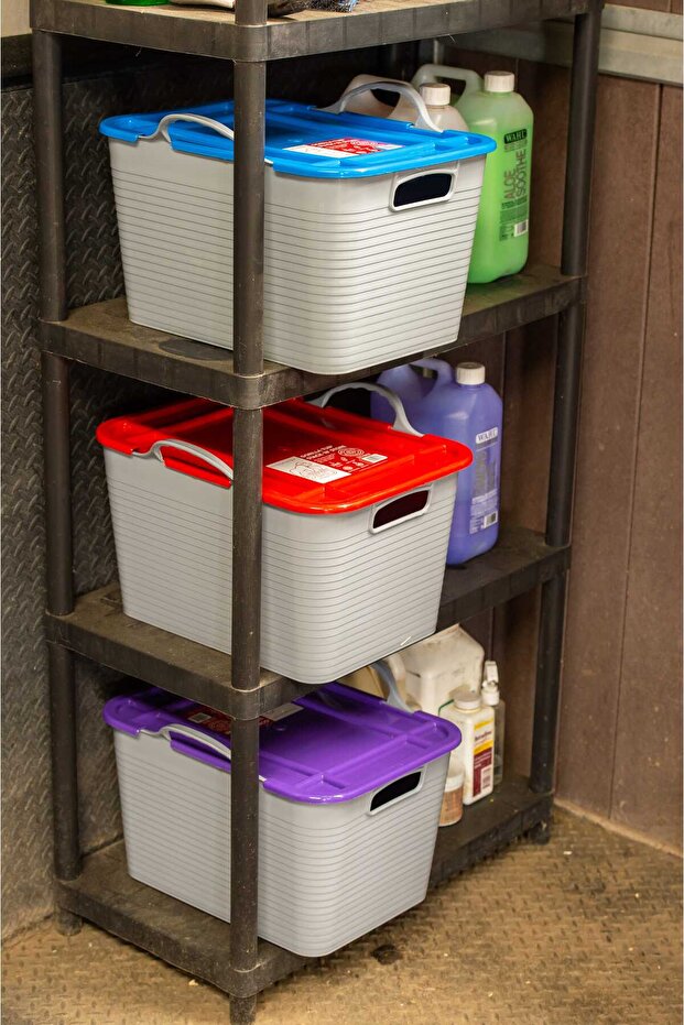 الغوريلا الحمراء - ستاك إن ستور - ستاك إن ستور أرجواني - 5