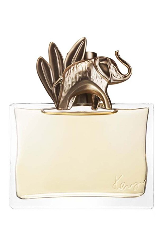 عطر جانجل 100 مل - 1