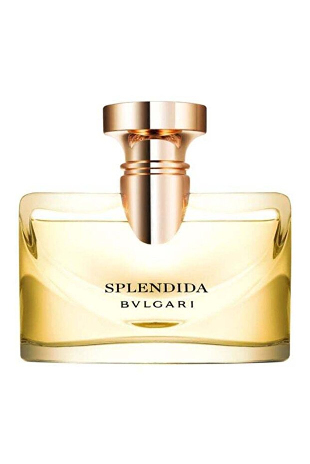 عطر سبلنديدا 100 مل - 1