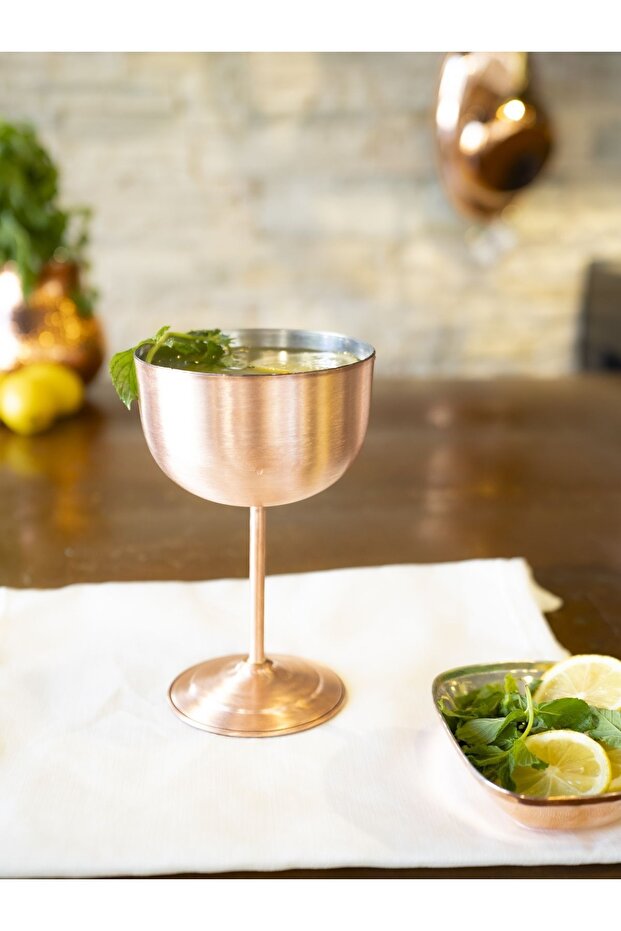 Copper Wine Glasses (Set of 2) Matte Copper Color