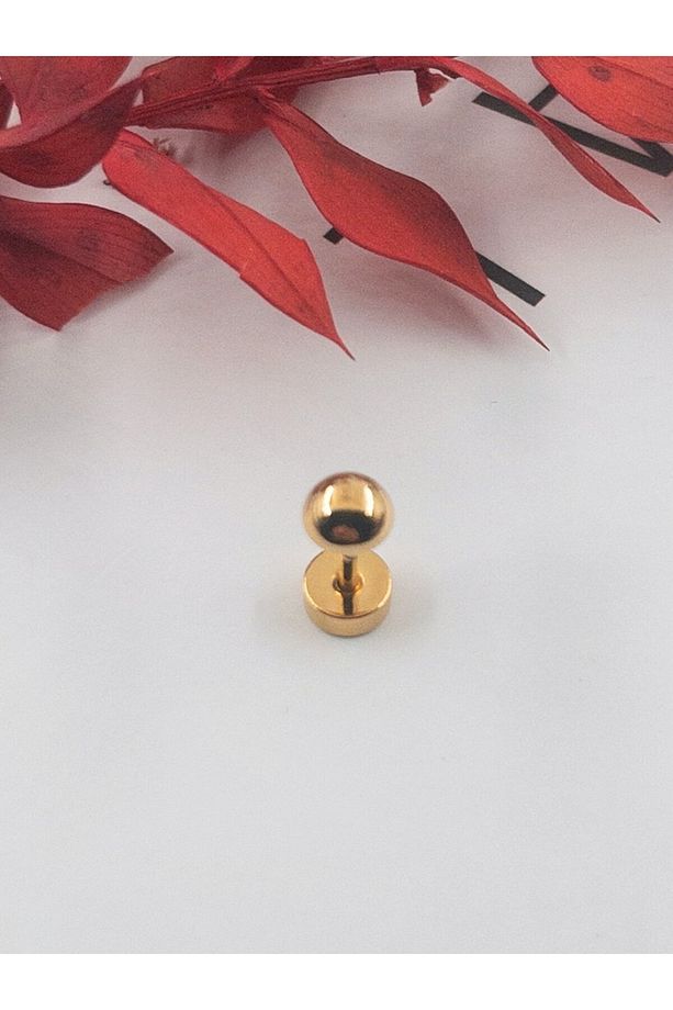 316l Cerrahi Çelik Vidalı Top Başlı Unisex Kıkırdak Tragus Piercing-1 Adet - 6