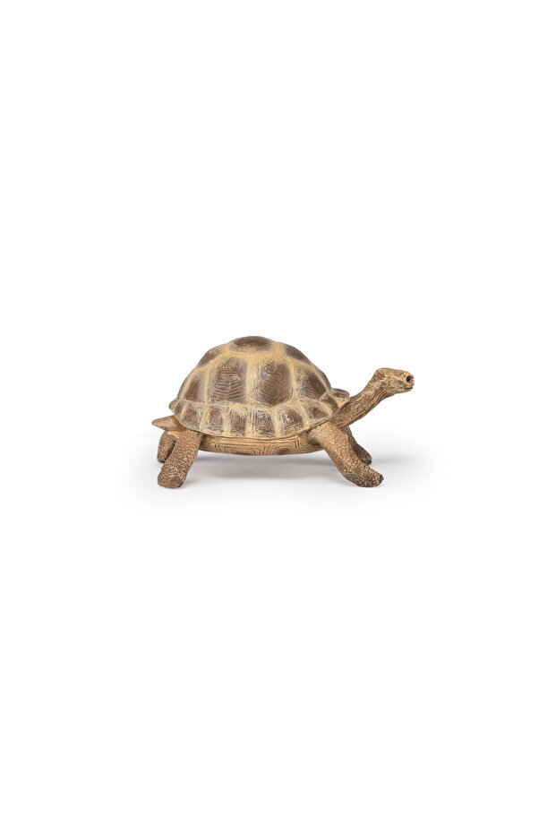 DRYING TURTLE FIGURINE - 2