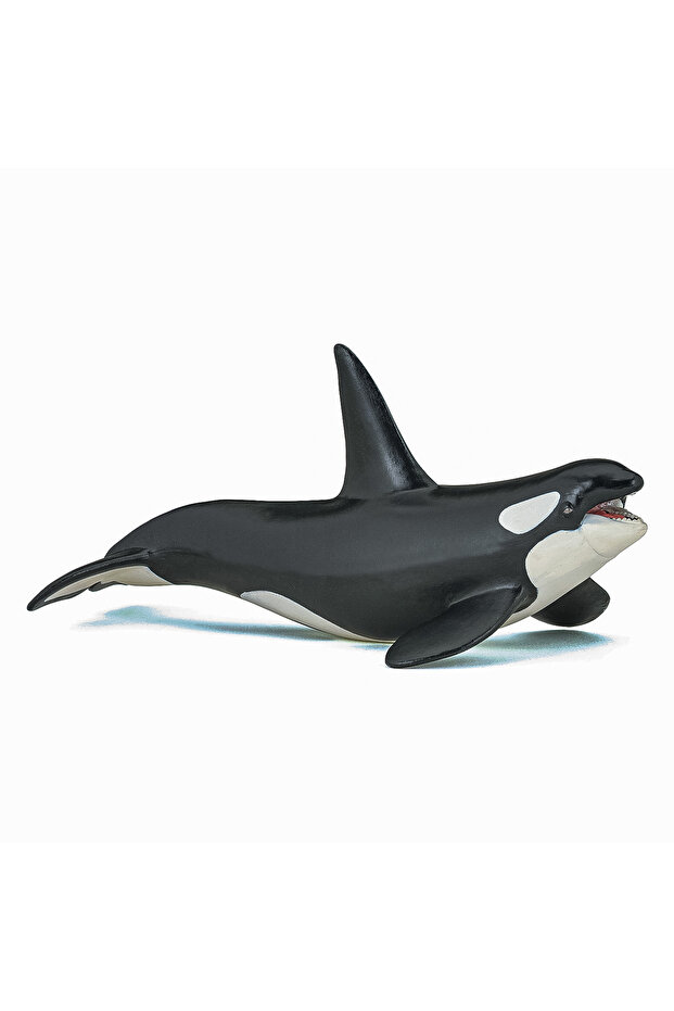 Killer Whale Figurine - 1